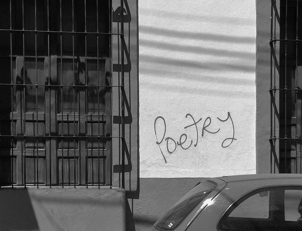 A photo of the wall of an apartment building with the word "poetry" spray-painted on it, published as part of "How to Get Poetry Published, Part 1: Read and Write Well" and "Poetry Writing Resources"