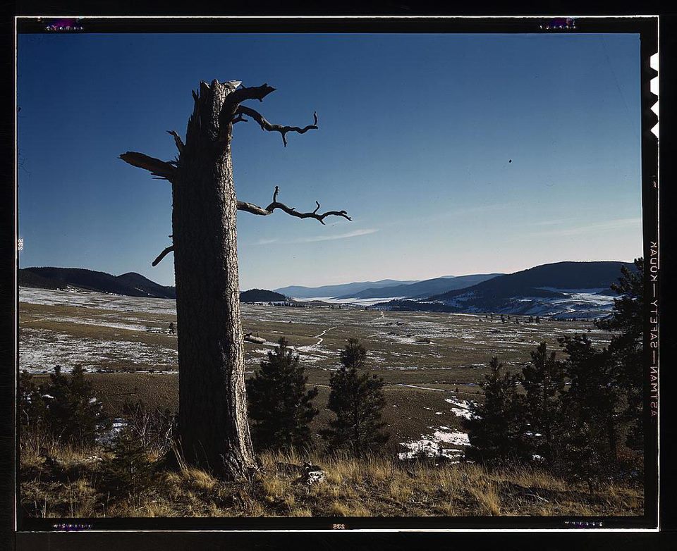 A lone tree before a wide valley, published as part of: "Three Poems About Western Living in the Fall 2016 Issue of The Adirondack Review"